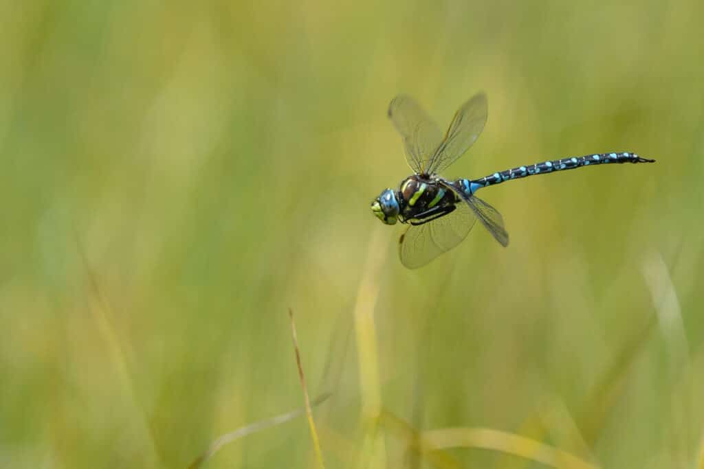 en route vers le label eglise verte tYkD