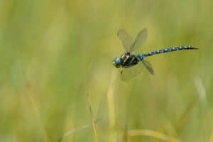 en route vers le label eglise verte tYkD