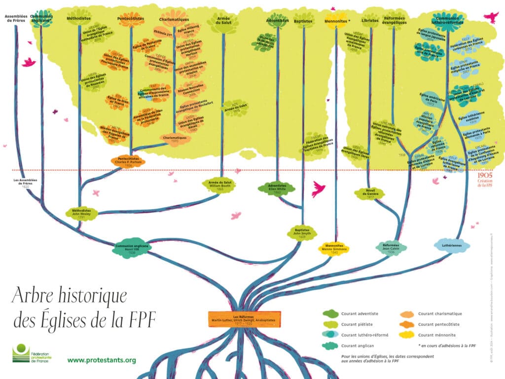 240829 arbre protestants v2 scaled