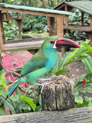 Colombia Medellin